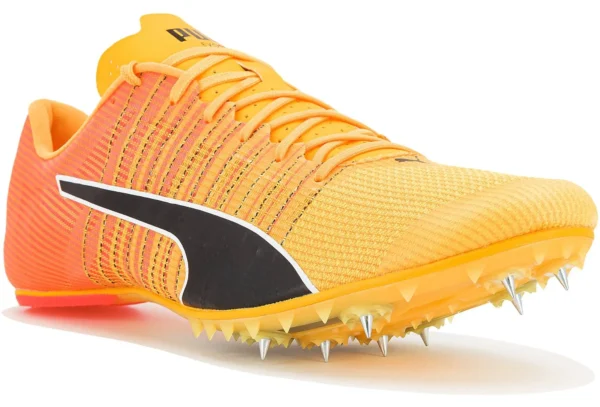 evospeed future 6 m